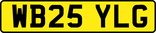 WB25YLG