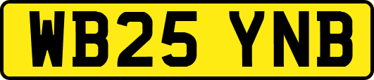 WB25YNB