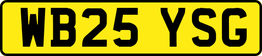 WB25YSG
