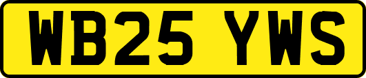 WB25YWS
