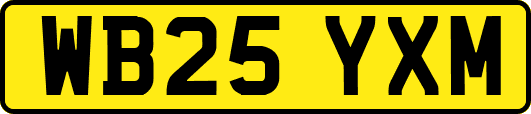 WB25YXM