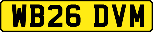 WB26DVM