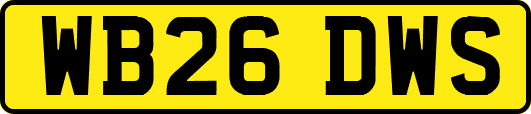 WB26DWS