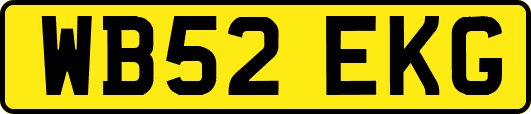 WB52EKG