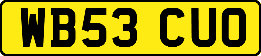 WB53CUO