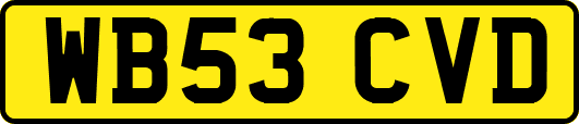 WB53CVD