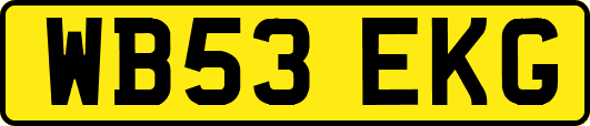 WB53EKG