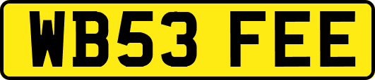 WB53FEE