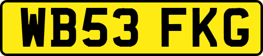 WB53FKG