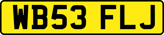 WB53FLJ