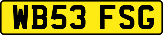 WB53FSG
