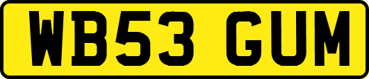 WB53GUM
