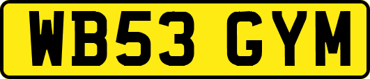 WB53GYM