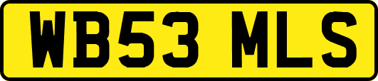 WB53MLS