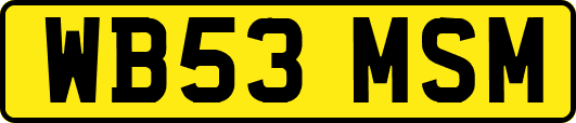 WB53MSM