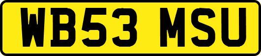 WB53MSU