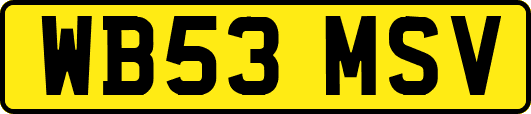 WB53MSV