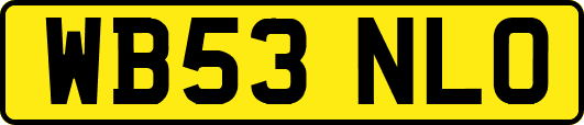 WB53NLO