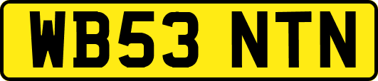WB53NTN