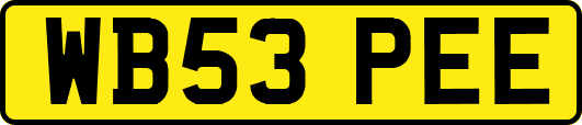 WB53PEE