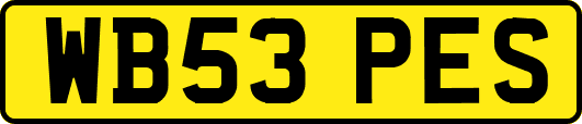 WB53PES