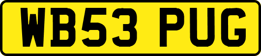 WB53PUG