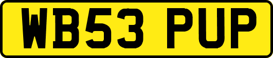 WB53PUP