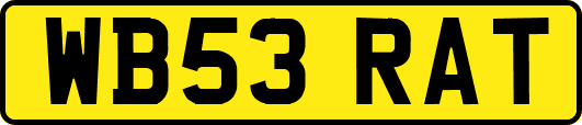 WB53RAT