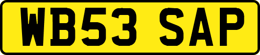 WB53SAP
