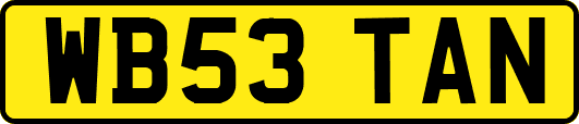 WB53TAN