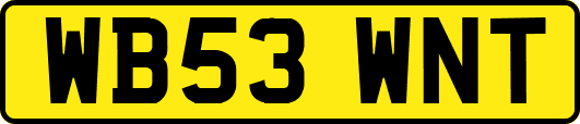WB53WNT