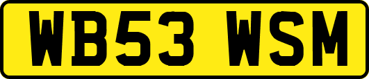 WB53WSM