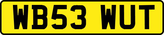 WB53WUT
