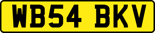 WB54BKV