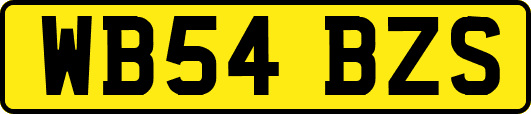 WB54BZS