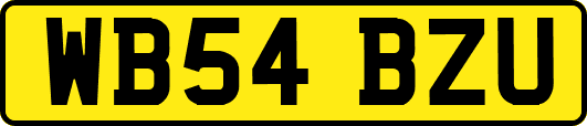 WB54BZU