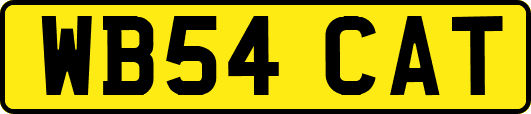 WB54CAT