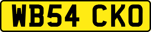WB54CKO