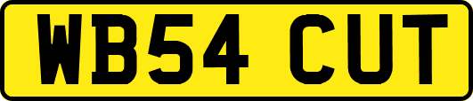 WB54CUT