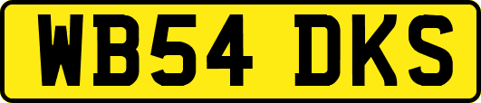 WB54DKS