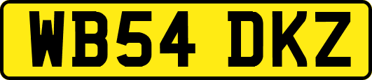 WB54DKZ
