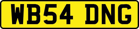 WB54DNG