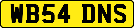 WB54DNS