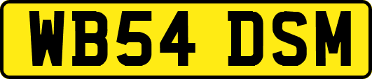 WB54DSM