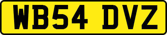 WB54DVZ