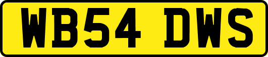 WB54DWS