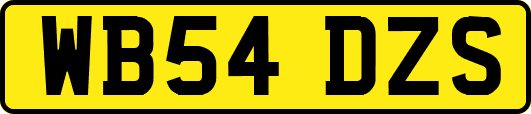 WB54DZS