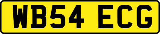 WB54ECG