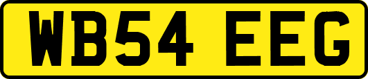 WB54EEG