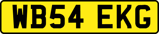 WB54EKG